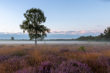 Heide Schaijksedreef