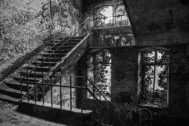 Urbex-trappenhuis in verval met overwoekerende beplanting