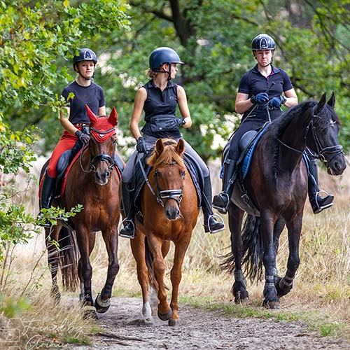 Ruiters op Bedaf nemen deel aan POR van Maashorst Stables